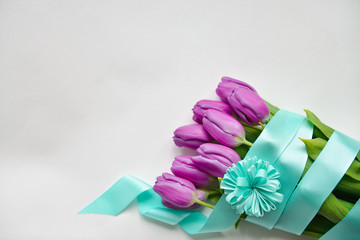 purple tulips with blue ribbon on an isolated white background festive bouquet for the birthday, March 8, baby shower, mother's day, women's day. floristic composition