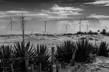 Wind and sand in Fortaleza CE