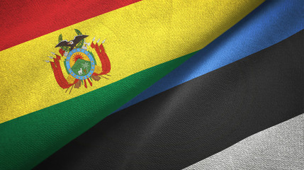 Bolivia and Estonia two flags textile cloth, fabric texture