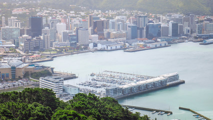 Exploring Wellington in New Zealand