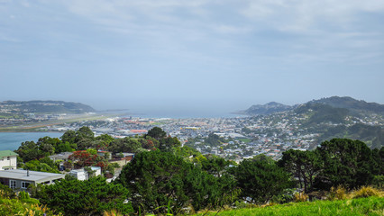 Obraz premium Exploring Wellington in New Zealand