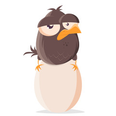 funny cartoon bird sitting on an egg