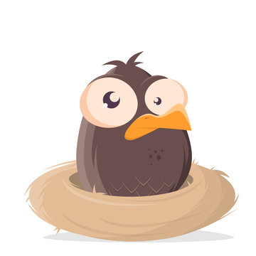 funny cartoon bird sitting in a nest