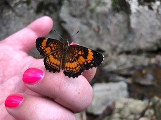 Butterfly pink nails