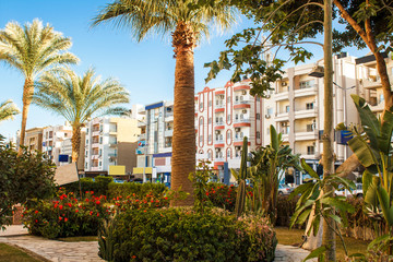 Fototapeta premium Hurhgada, Egypt January 28, 2019. Flowers on the lawn and palm trees on the street. Houses of eastern architecture.