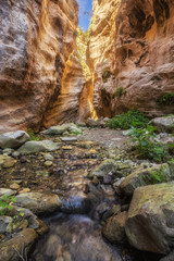 Avakas Gorge in Cyprus. Little river in foreground, sunlit rocks