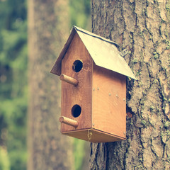 Wooden birdhouse hanging on a tree in summer, square format, toned.