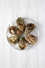 Top view, fresh oysters on ice on gray plate over white wooden background. Flat lay, overhead, from above. Close-up.