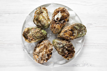 Fresh oysters on ice on gray plate over white wooden surface, top view. Flat lay, overhead, from above. Close-up.