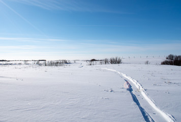 path in a winter landscape