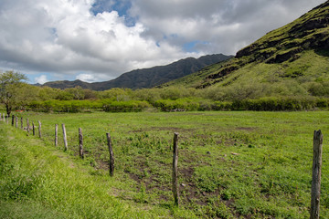 Fototapeta na wymiar Hawaii Oahu Waianae Kai Forest Reserve