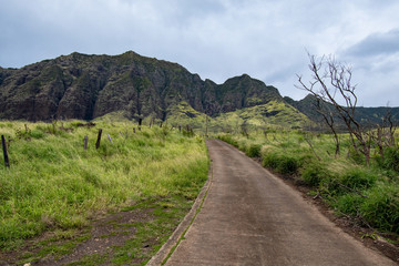 Hawaii Oahu Waianae Kai Forest Reserve small road