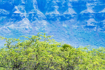 Hawaii Oahu Waianae Kai Forest Reserve trees and mountains