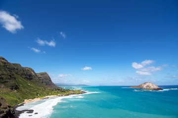 Foto op Plexiglas Oahu beautiful Makapuu beach © Guy