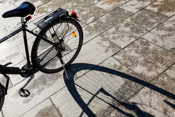 Fototapeta na wymiar shadow of a bicycle wheel on the pavement