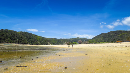 Exploring Abel Tasman National Park on the South Island in New-Zealand