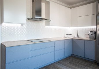 Blue and white cabinets in modern kitchen interior