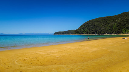 Exploring Abel Tasman National Park on the South Island in New-Zealand