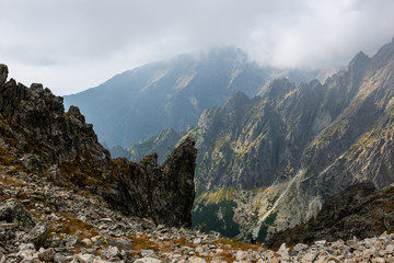 rpcky mountain top details in slovakian Tatra