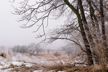 Frost and Fog
