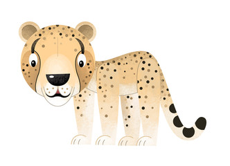 cartoon scene with cheetah on white background - illustration for children