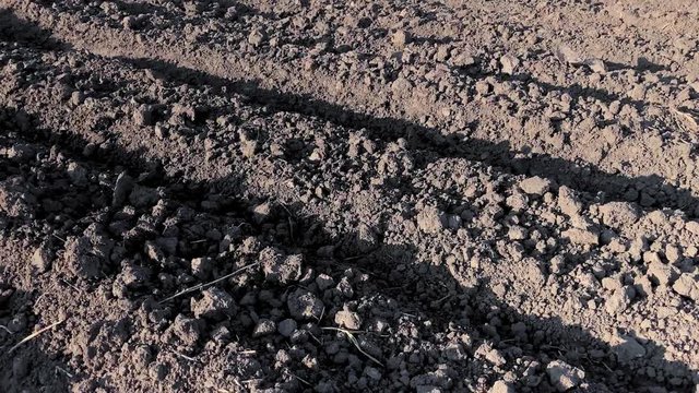 Empty plowed field with dark soil at beginning of spring or end of autumn. Plowing field soil after autumn works. Farm in countryside - black soil fields in autumn season.