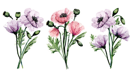 Flowers poppies, watercolor painting for greeting card, wedding invitation, summer wed design, holiday decoration. Isolated on white background.  
