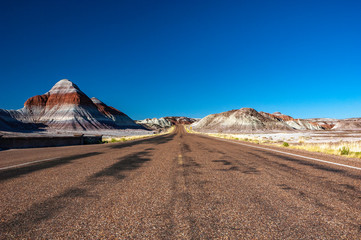 The Tepees in the Petrified Forest National Park in AZ.