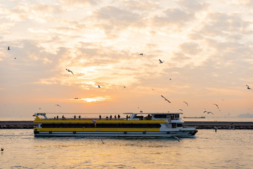 Ferry, boat at sunset in the sea - 250541515