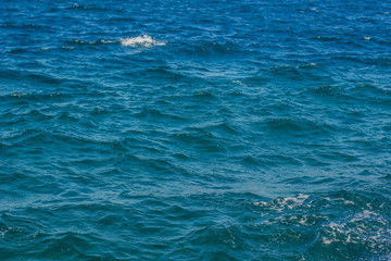 vivid blue sea water background perspective surface with waves