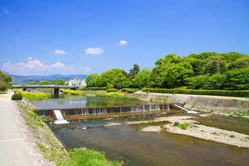 Fototapeta premium 鴨川