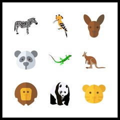 9 zoo icon. Vector illustration zoo set. zebra and tiger icons for zoo works