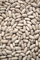 White haricot beans background.