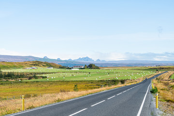 Green grass growing in farm meadow field near Reykholt in peaceful Iceland landscape and sky on golden circle with mountains and road highway 35