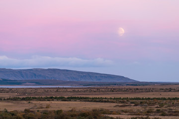 Naklejka premium Landscape aerial high angle view of Laugarvatn lake water on golden circle in Iceland with farm animals in village during twilight pink purple and blue colors with moon rising