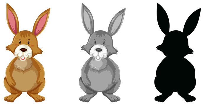Rabbit set of different version