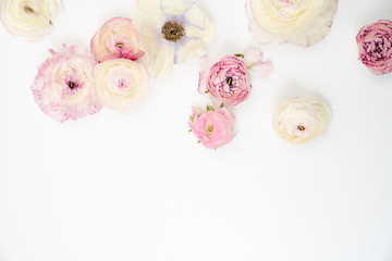 Fototapeta na wymiar Pink and White Ranunculus Floral Flat Lay Background