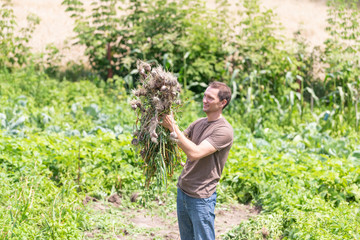 Young man farmer harvesting garlic bulbs in farm or garden holding bunch of vegetables happy smiling