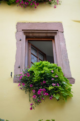 Fototapeta na wymiar open window with flowers