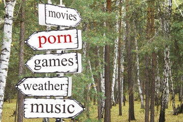 Road sign with the words "porn, movies, weather, games, music." Top Searches on the Web