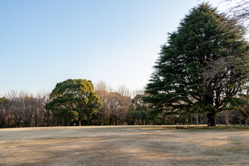 Aoba no Mori Park in Chiba City, Chiba Prefecture, Japan