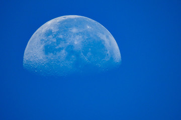Blue moon