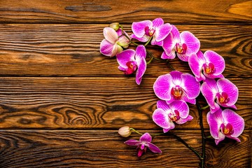 A branch of purple orchids on a brown wooden background 