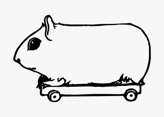 Vintage guinea pig illustration