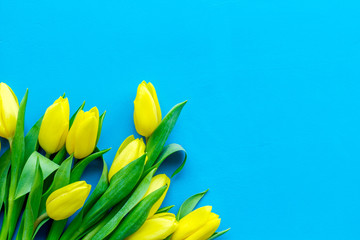 Spring flowers. Yellow tulips on blue background top view copy space border