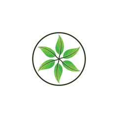 Six Leaf logo design