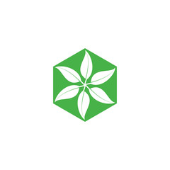 Hexagon with Six Leaf logo design