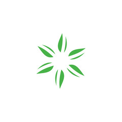 Six Leaf logo design