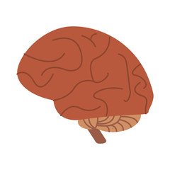 human brain symbol isolated