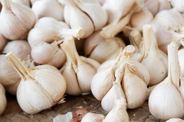 fresh garlic in the basket